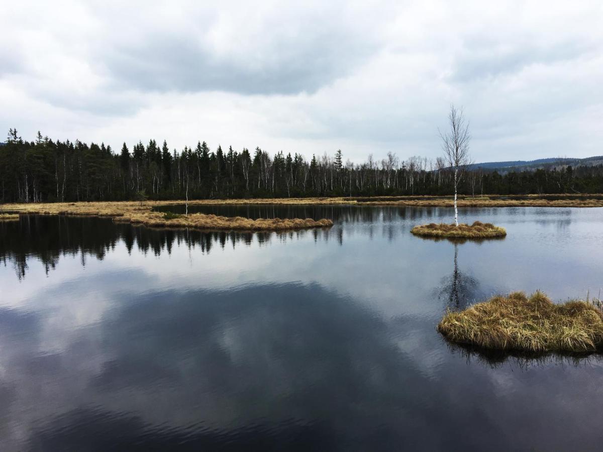 Apartmany Stozec - Bella Premium Buitenkant foto